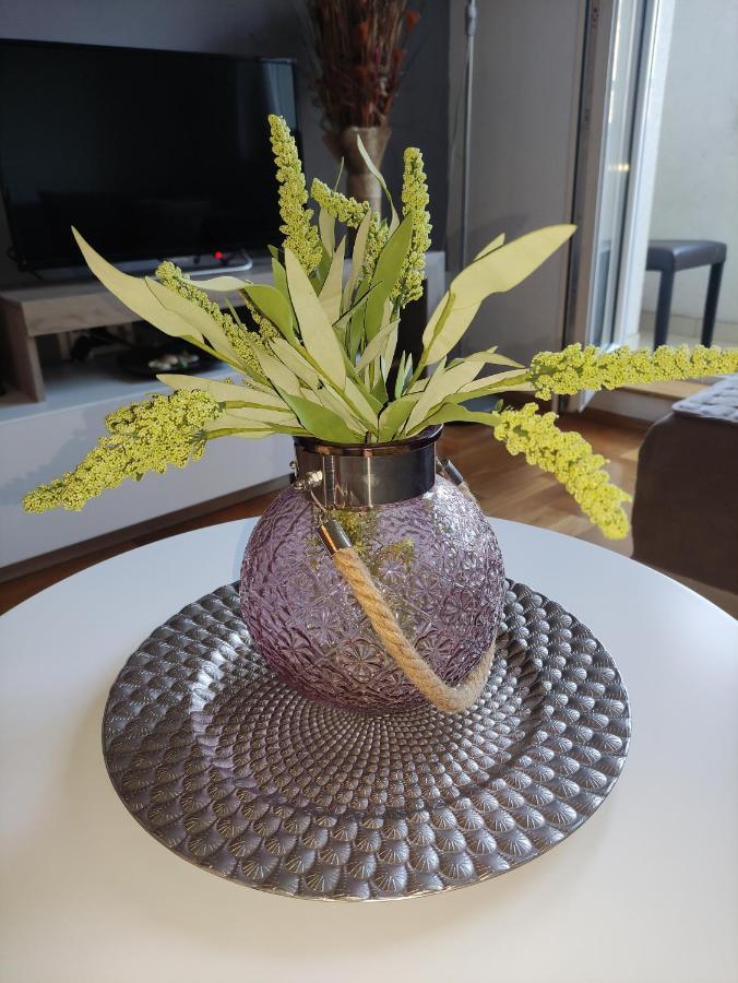 Nota Home โนวีซาด ภายนอก รูปภาพ